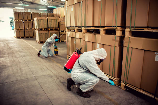 Best Bed Bug Extermination  in Lauderdale By The Sea, FL