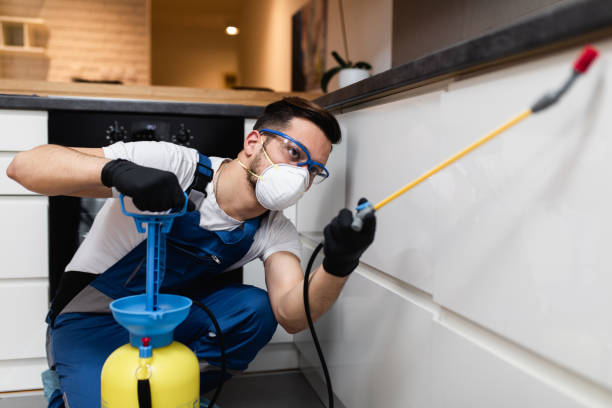 Best Termite Control Services  in Lauderdale By The Sea, FL