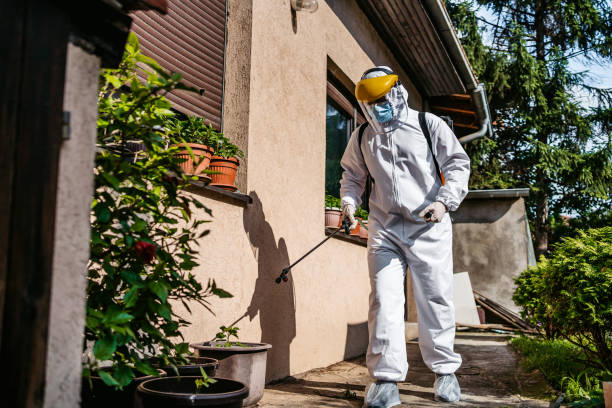 Reliable Lauderdale By The Sea, FL Pest Control Solutions