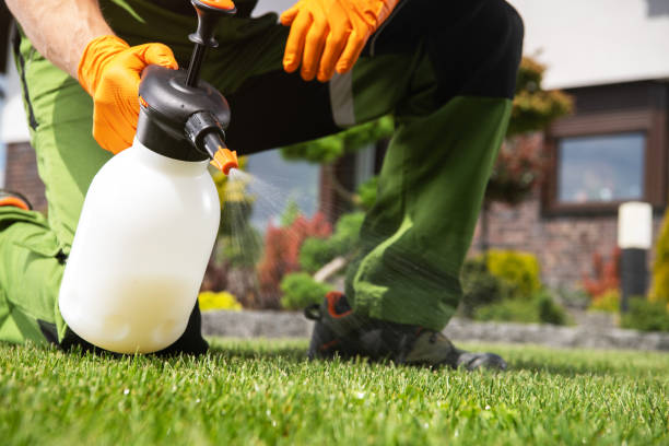 Pest Control Cost in Lauderdale By The Sea, FL