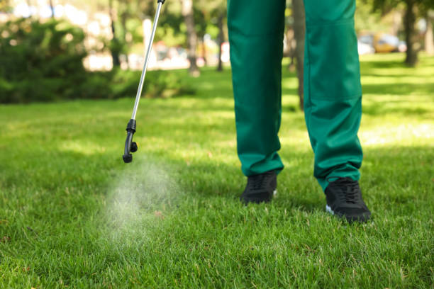 Best Pest Prevention Services  in Lauderdale By The Sea, FL